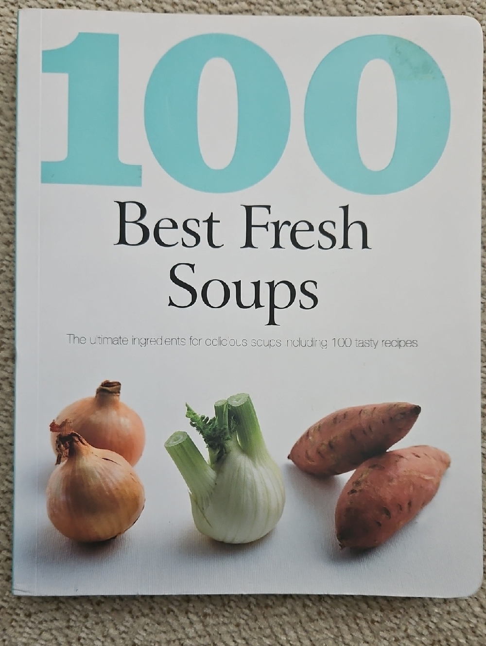 100 Best Fresh Soups Recipe Book